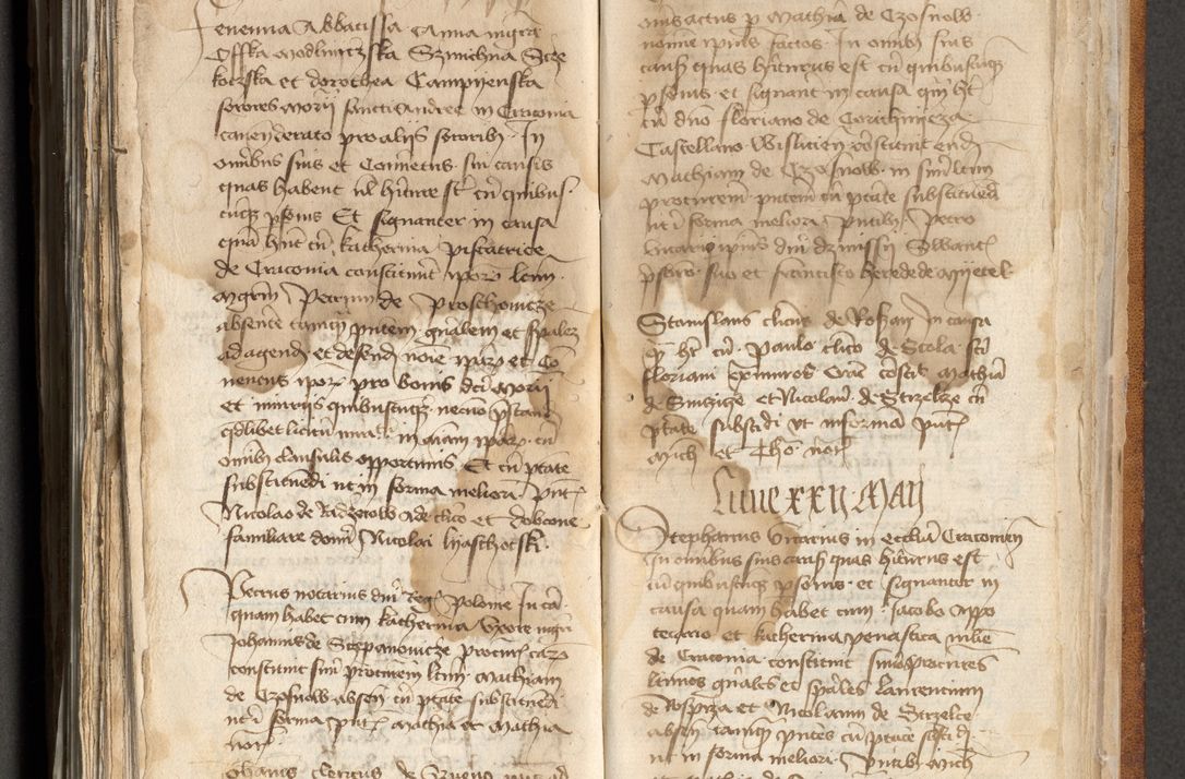 Zdjęcie nr 340 dla obiektu archiwalnego: [Acta actorum officialia coram Michaele scolastico Gnezensi]