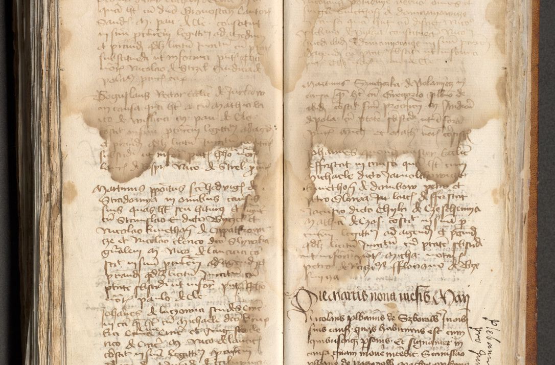 Zdjęcie nr 334 dla obiektu archiwalnego: [Acta actorum officialia coram Michaele scolastico Gnezensi]