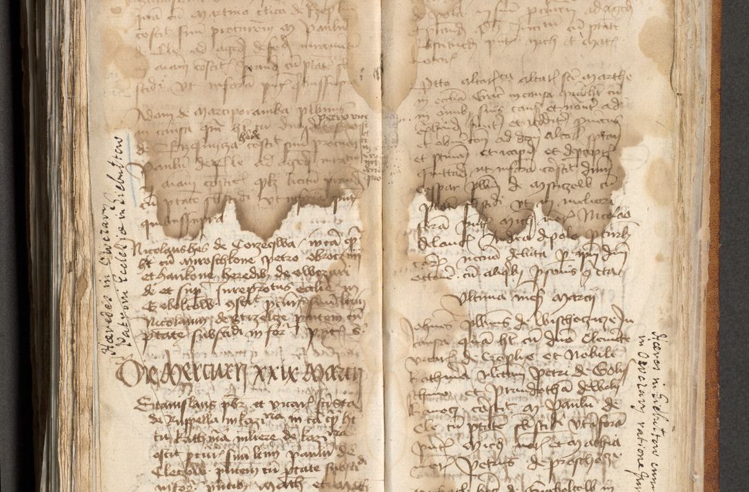 Zdjęcie nr 328 dla obiektu archiwalnego: [Acta actorum officialia coram Michaele scolastico Gnezensi]