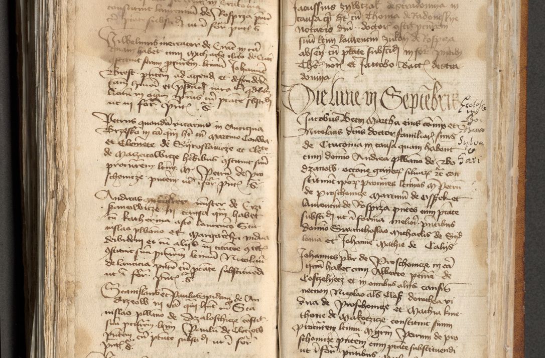 Zdjęcie nr 324 dla obiektu archiwalnego: [Acta actorum officialia coram Michaele scolastico Gnezensi]