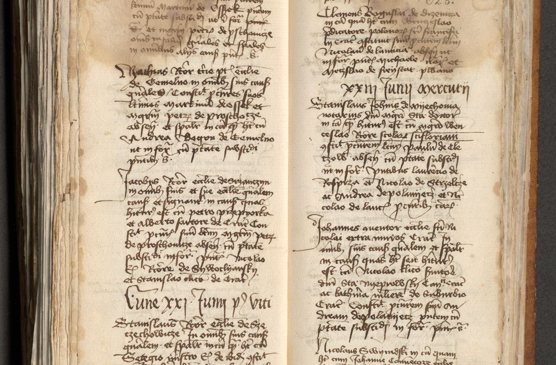 Zdjęcie nr 314 dla obiektu archiwalnego: [Acta actorum officialia coram Michaele scolastico Gnezensi]