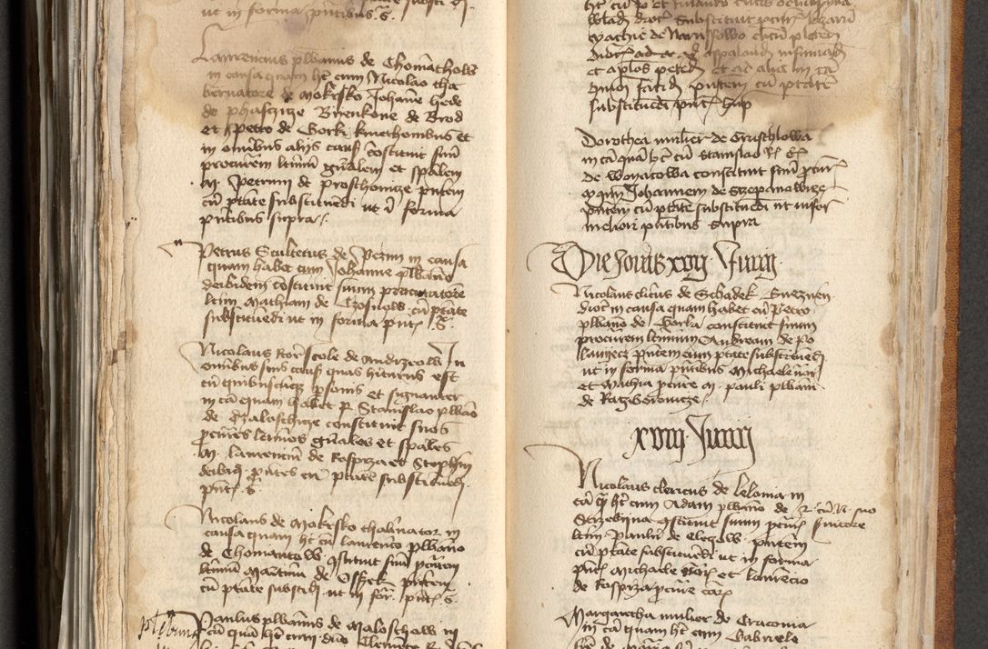 Zdjęcie nr 313 dla obiektu archiwalnego: [Acta actorum officialia coram Michaele scolastico Gnezensi]