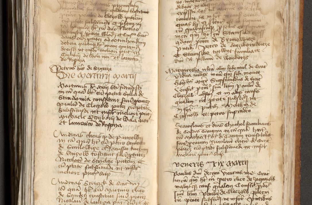 Zdjęcie nr 300 dla obiektu archiwalnego: [Acta actorum officialia coram Michaele scolastico Gnezensi]