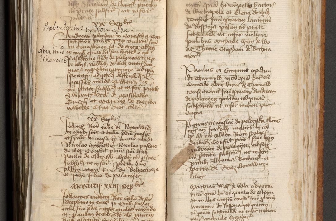 Zdjęcie nr 275 dla obiektu archiwalnego: [Acta actorum officialia coram Michaele scolastico Gnezensi]