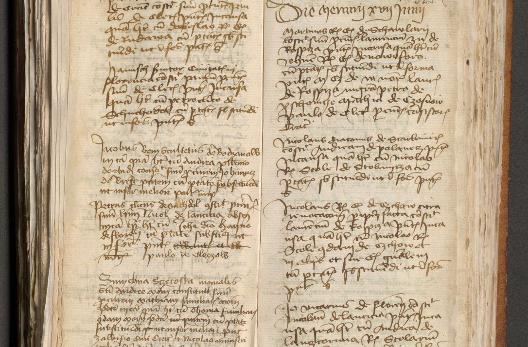 Zdjęcie nr 264 dla obiektu archiwalnego: [Acta actorum officialia coram Michaele scolastico Gnezensi]