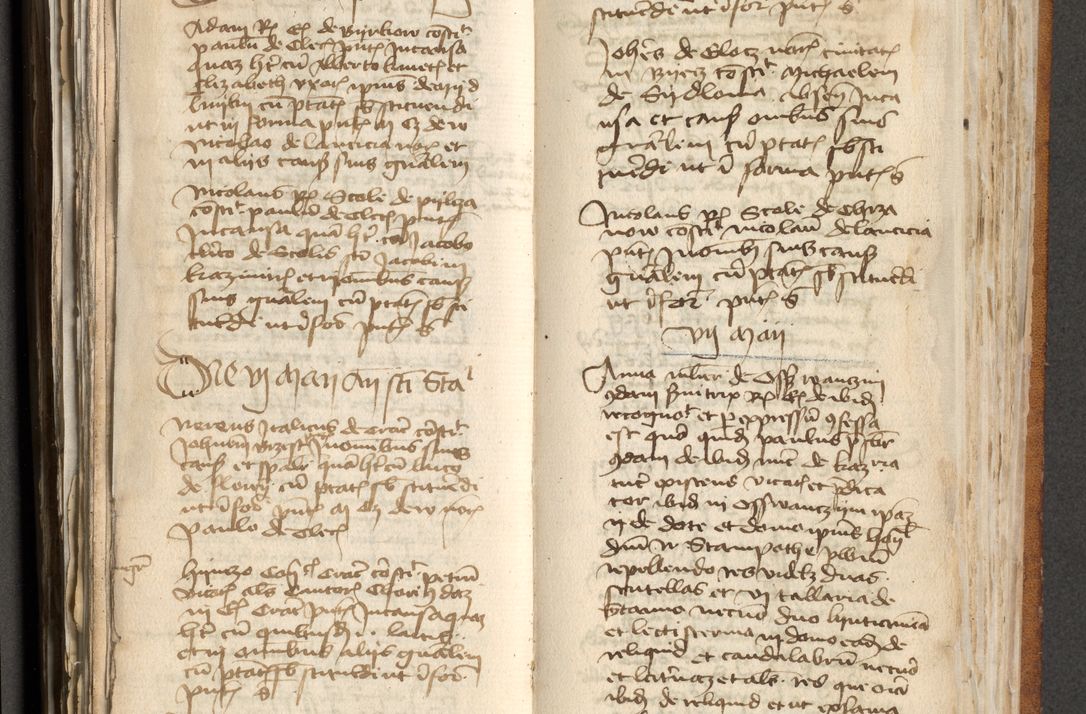 Zdjęcie nr 256 dla obiektu archiwalnego: [Acta actorum officialia coram Michaele scolastico Gnezensi]