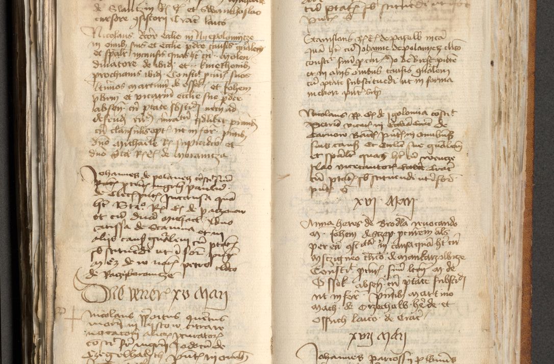 Zdjęcie nr 258 dla obiektu archiwalnego: [Acta actorum officialia coram Michaele scolastico Gnezensi]