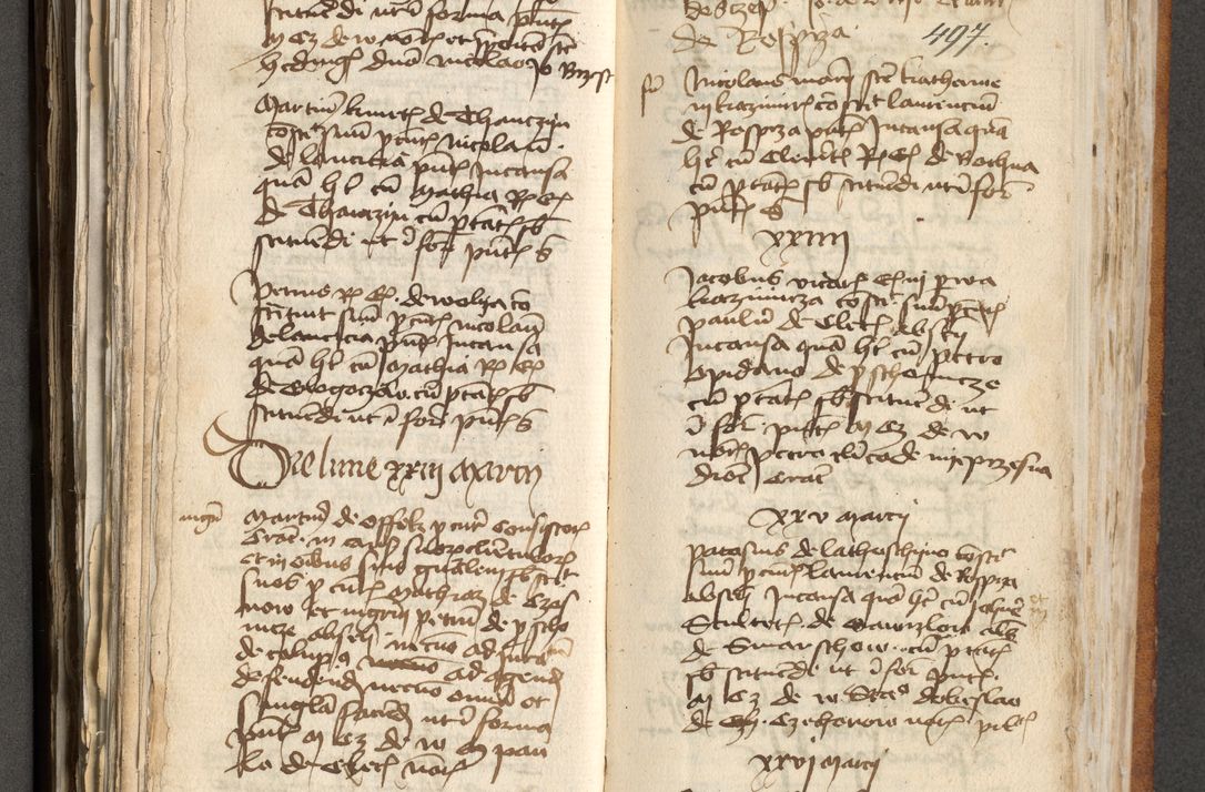 Zdjęcie nr 250 dla obiektu archiwalnego: [Acta actorum officialia coram Michaele scolastico Gnezensi]