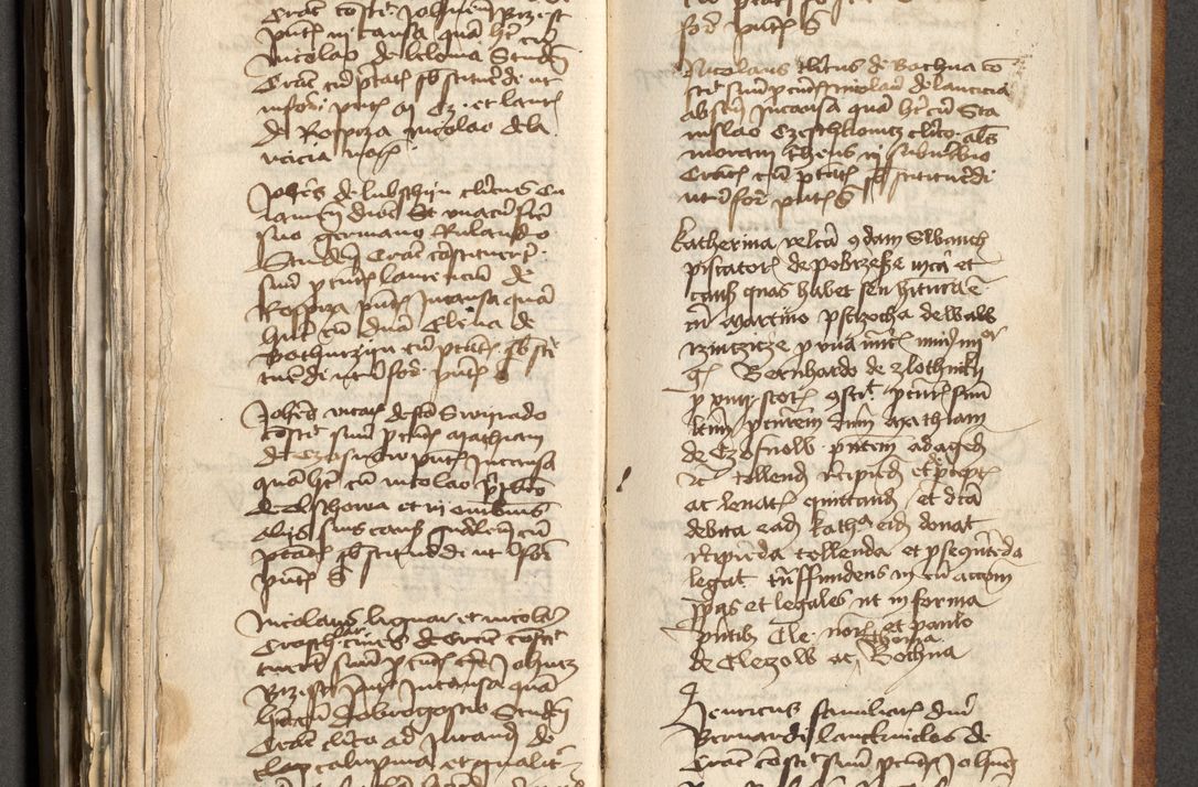 Zdjęcie nr 249 dla obiektu archiwalnego: [Acta actorum officialia coram Michaele scolastico Gnezensi]