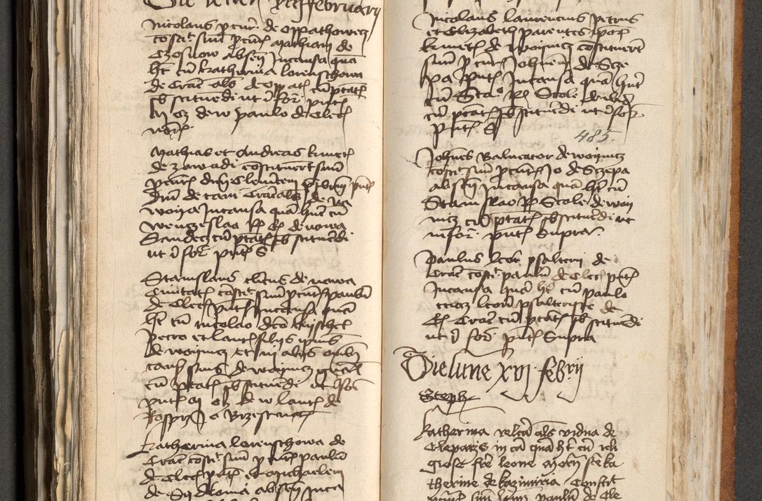 Zdjęcie nr 244 dla obiektu archiwalnego: [Acta actorum officialia coram Michaele scolastico Gnezensi]