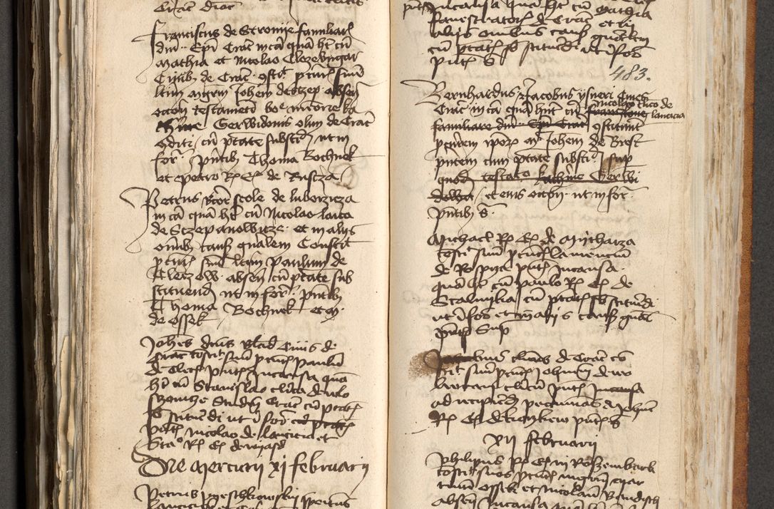 Zdjęcie nr 243 dla obiektu archiwalnego: [Acta actorum officialia coram Michaele scolastico Gnezensi]