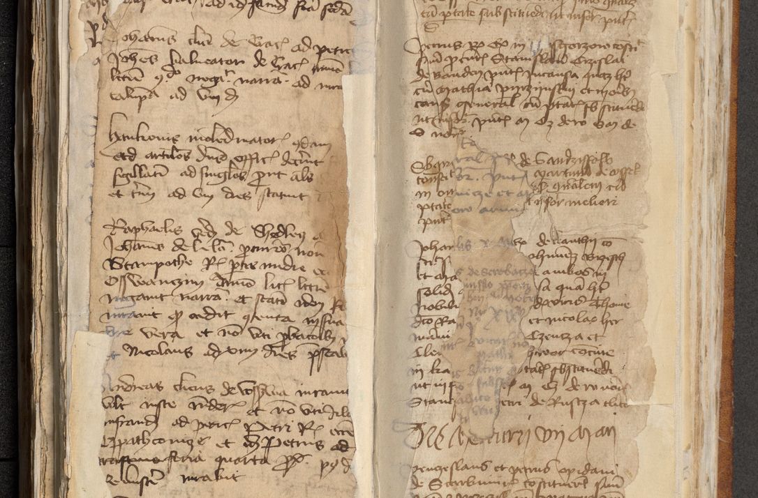 Zdjęcie nr 209 dla obiektu archiwalnego: [Acta actorum officialia coram Michaele scolastico Gnezensi]