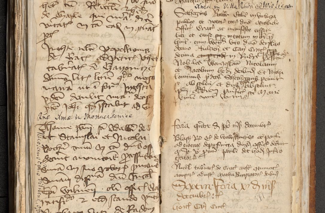 Zdjęcie nr 192 dla obiektu archiwalnego: [Acta actorum officialia coram Michaele scolastico Gnezensi]