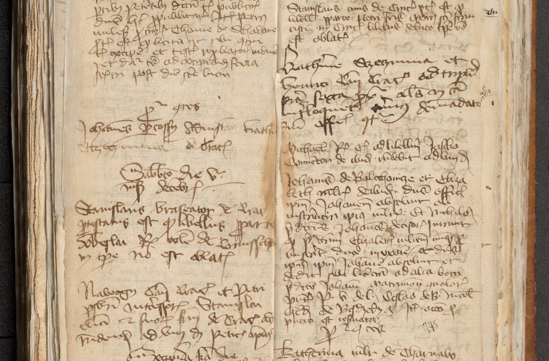 Zdjęcie nr 191 dla obiektu archiwalnego: [Acta actorum officialia coram Michaele scolastico Gnezensi]