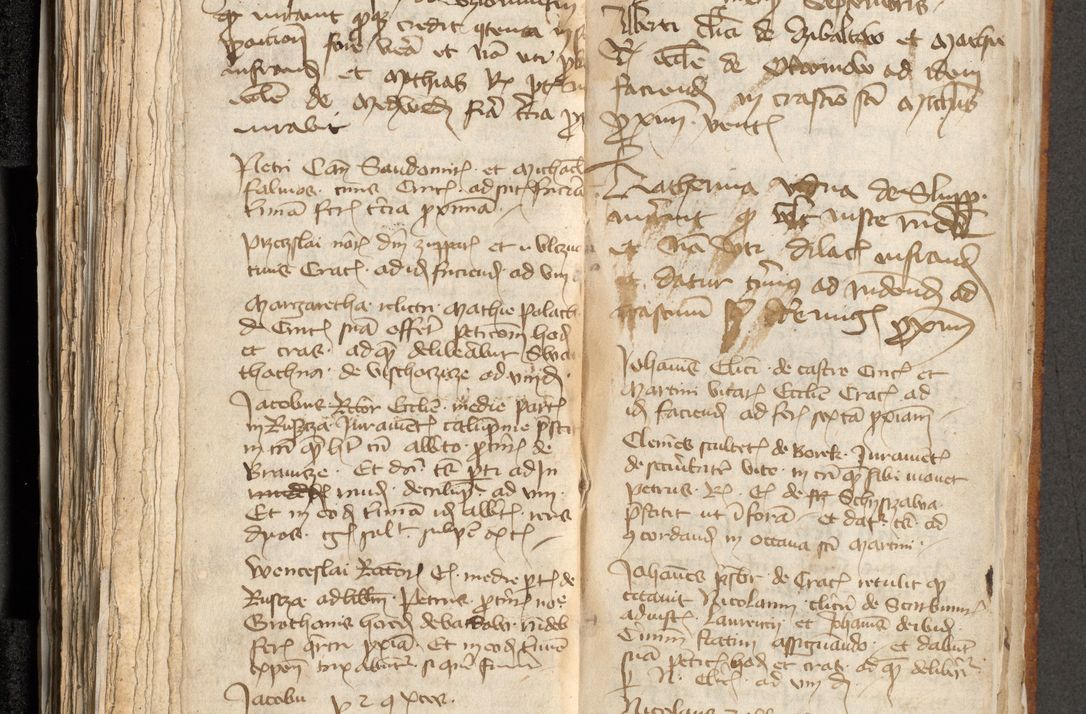 Zdjęcie nr 164 dla obiektu archiwalnego: [Acta actorum officialia coram Michaele scolastico Gnezensi]