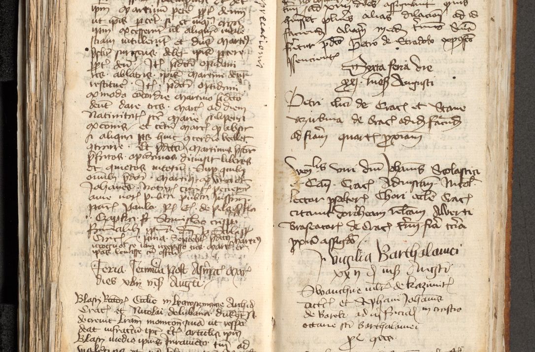 Zdjęcie nr 156 dla obiektu archiwalnego: [Acta actorum officialia coram Michaele scolastico Gnezensi]