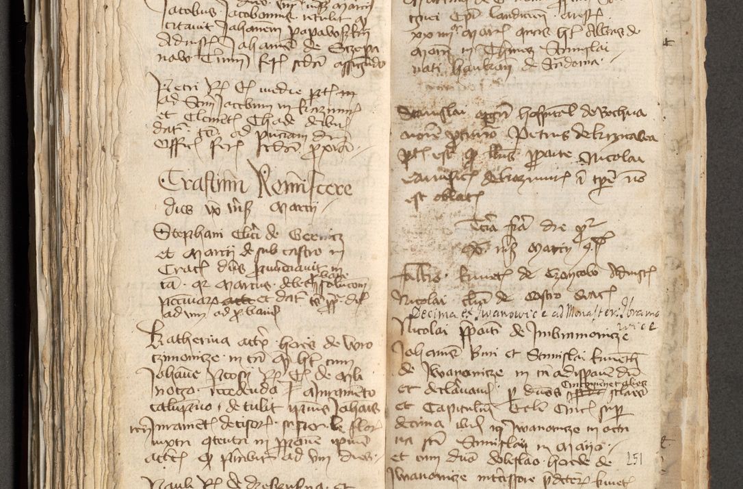 Zdjęcie nr 129 dla obiektu archiwalnego: [Acta actorum officialia coram Michaele scolastico Gnezensi]