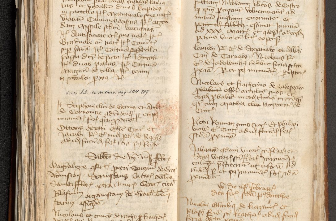 Zdjęcie nr 116 dla obiektu archiwalnego: [Acta actorum officialia coram Michaele scolastico Gnezensi]