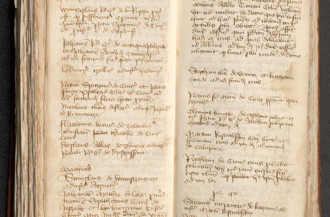 Zdjęcie nr 117 dla obiektu archiwalnego: [Acta actorum officialia coram Michaele scolastico Gnezensi]