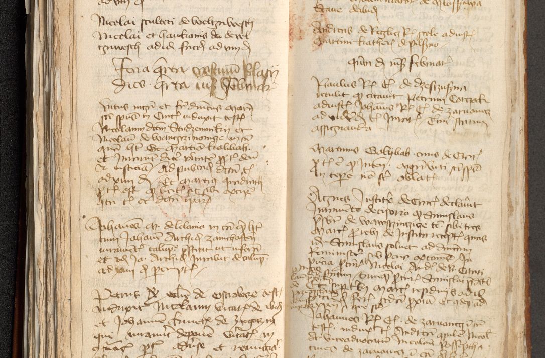 Zdjęcie nr 115 dla obiektu archiwalnego: [Acta actorum officialia coram Michaele scolastico Gnezensi]