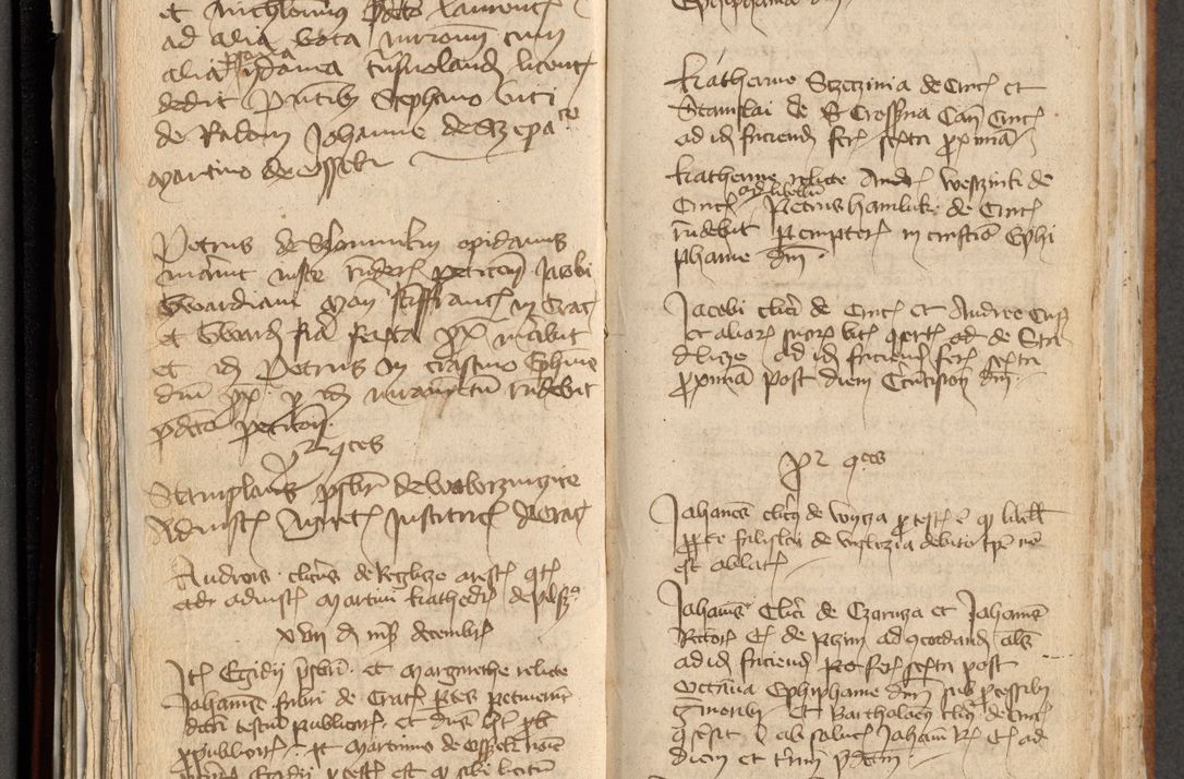 Zdjęcie nr 100 dla obiektu archiwalnego: [Acta actorum officialia coram Michaele scolastico Gnezensi]