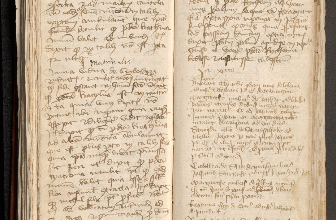 Zdjęcie nr 79 dla obiektu archiwalnego: [Acta actorum officialia coram Michaele scolastico Gnezensi]