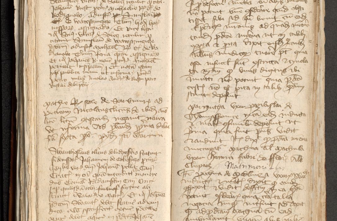 Zdjęcie nr 78 dla obiektu archiwalnego: [Acta actorum officialia coram Michaele scolastico Gnezensi]