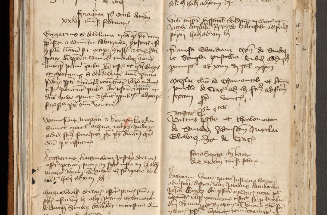 Zdjęcie nr 24 dla obiektu archiwalnego: [Acta actorum officialia coram Michaele scolastico Gnezensi]