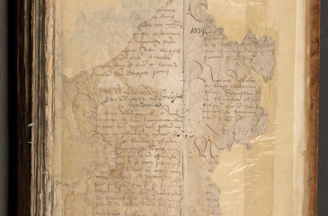 Zdjęcie nr 523 dla obiektu archiwalnego: [Acta obligationum officialia coram Johanne de Pniow]