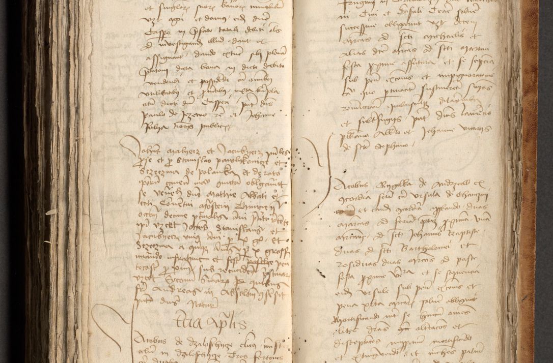 Zdjęcie nr 481 dla obiektu archiwalnego: [Acta obligationum officialia coram Johanne de Pniow]