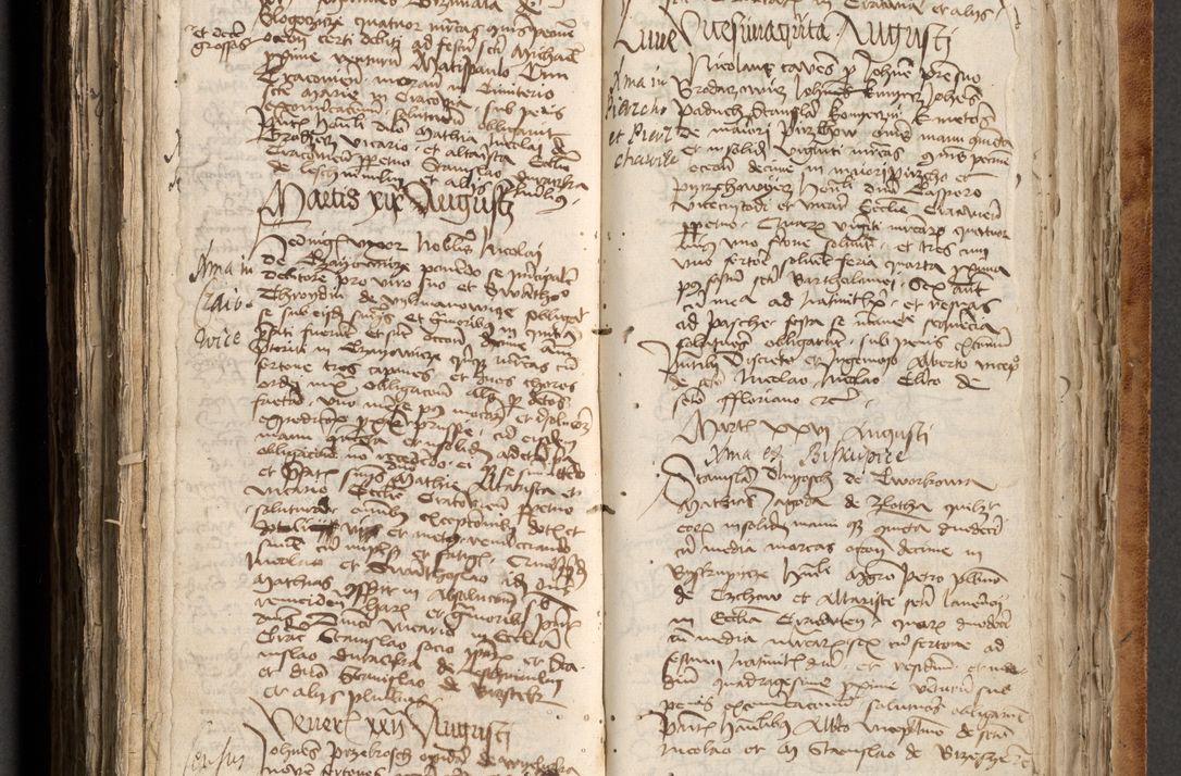 Zdjęcie nr 438 dla obiektu archiwalnego: [Acta obligationum officialia coram Johanne de Pniow]