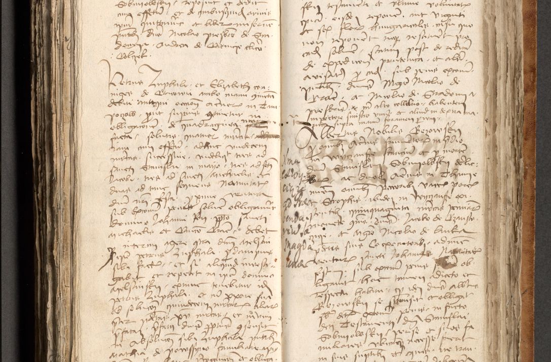 Zdjęcie nr 372 dla obiektu archiwalnego: [Acta obligationum officialia coram Johanne de Pniow]