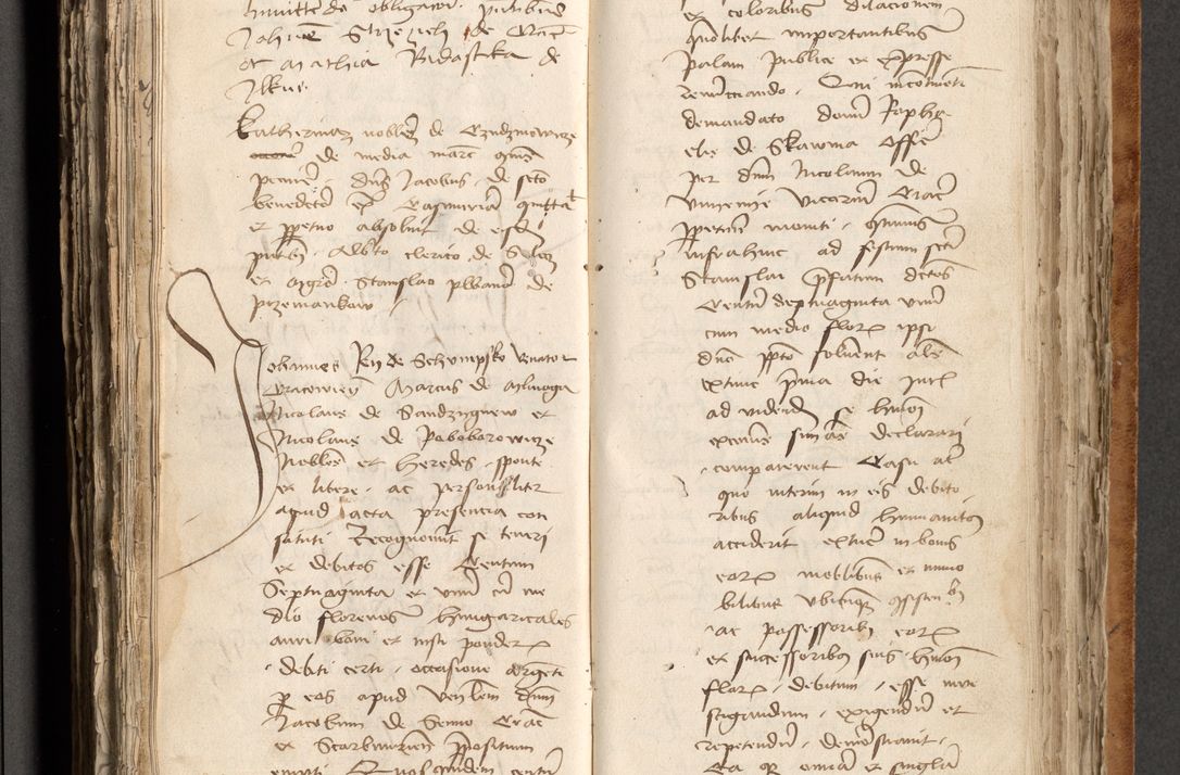 Zdjęcie nr 359 dla obiektu archiwalnego: [Acta obligationum officialia coram Johanne de Pniow]