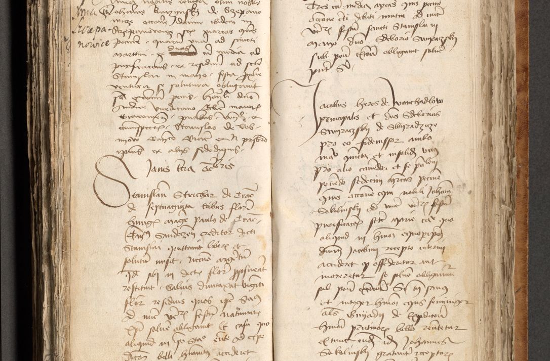 Zdjęcie nr 356 dla obiektu archiwalnego: [Acta obligationum officialia coram Johanne de Pniow]