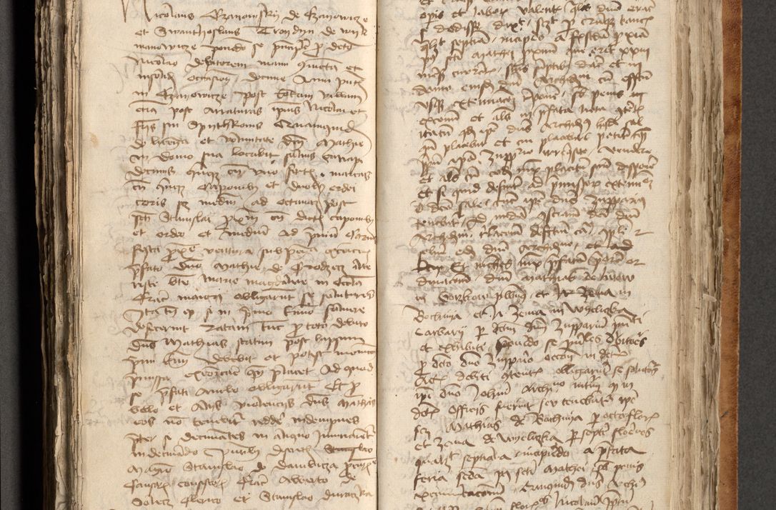 Zdjęcie nr 353 dla obiektu archiwalnego: [Acta obligationum officialia coram Johanne de Pniow]