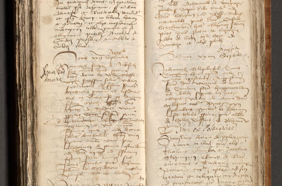 Zdjęcie nr 350 dla obiektu archiwalnego: [Acta obligationum officialia coram Johanne de Pniow]