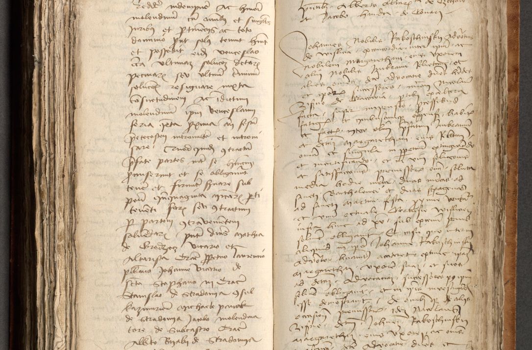 Zdjęcie nr 336 dla obiektu archiwalnego: [Acta obligationum officialia coram Johanne de Pniow]