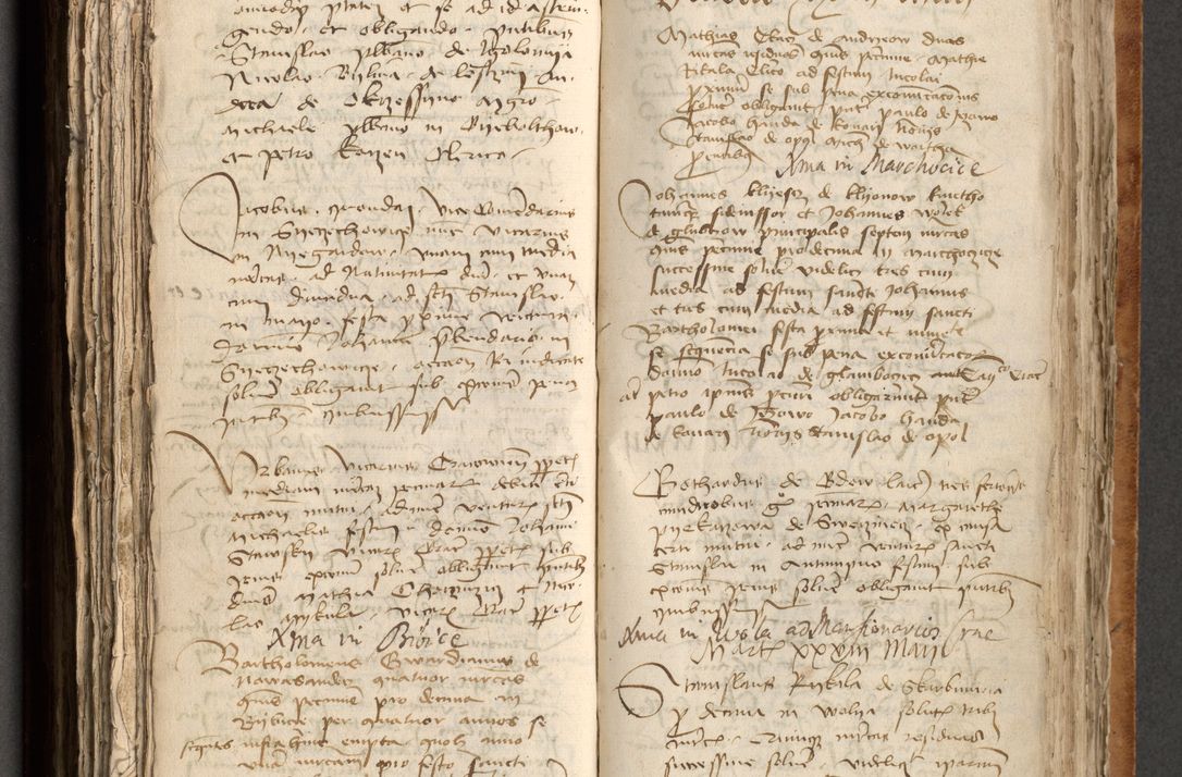 Zdjęcie nr 334 dla obiektu archiwalnego: [Acta obligationum officialia coram Johanne de Pniow]