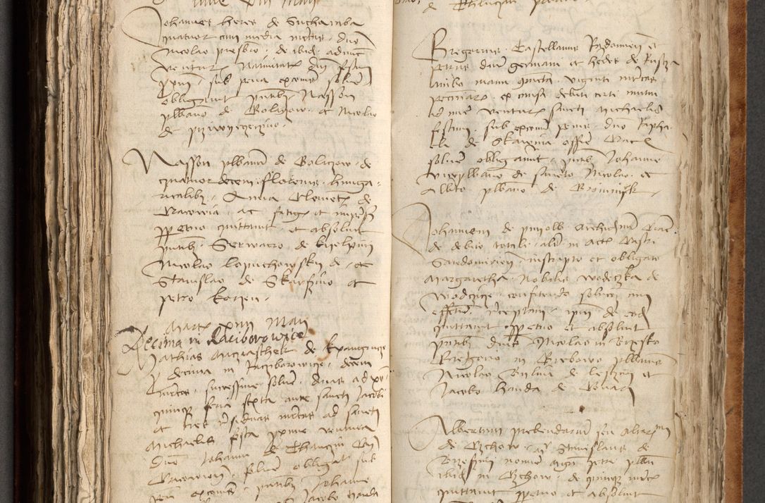 Zdjęcie nr 332 dla obiektu archiwalnego: [Acta obligationum officialia coram Johanne de Pniow]