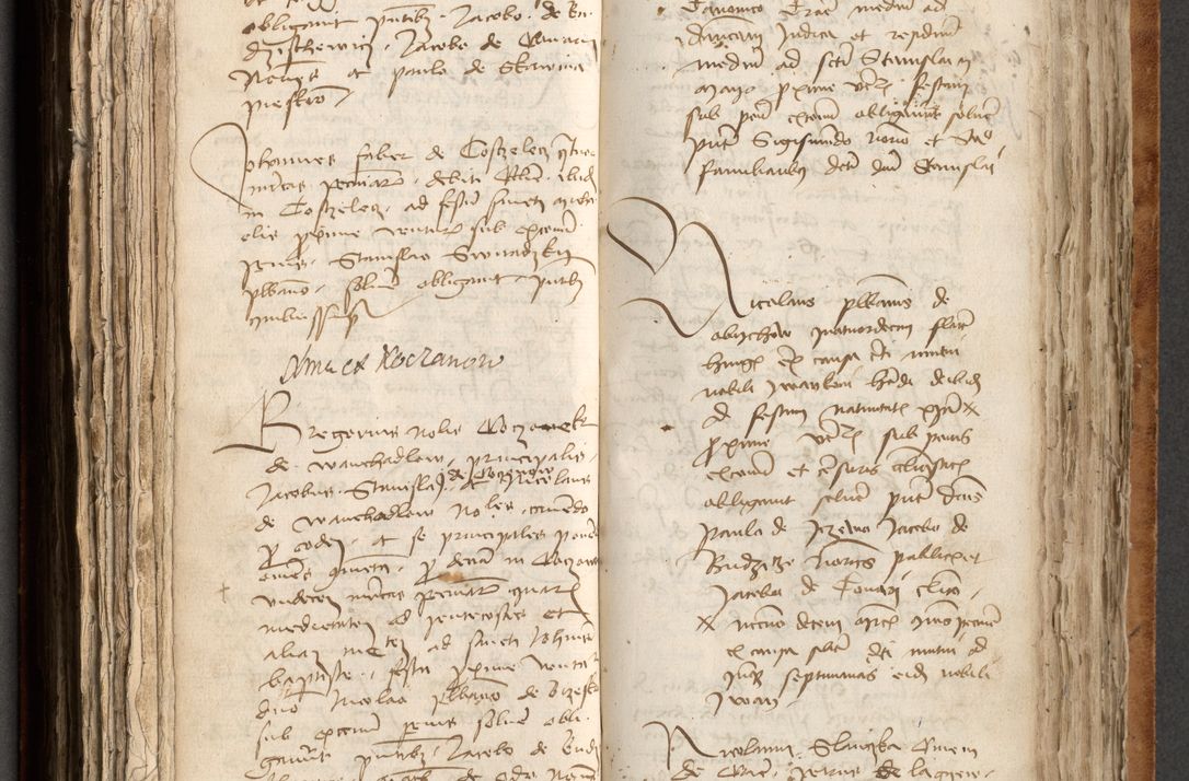 Zdjęcie nr 313 dla obiektu archiwalnego: [Acta obligationum officialia coram Johanne de Pniow]