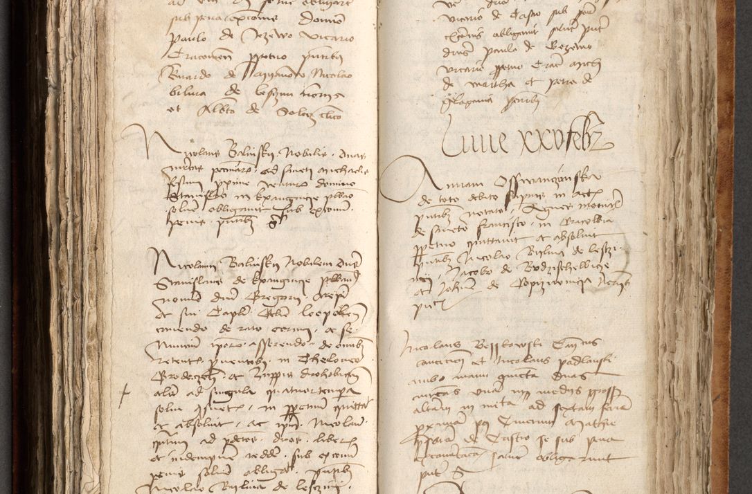 Zdjęcie nr 307 dla obiektu archiwalnego: [Acta obligationum officialia coram Johanne de Pniow]