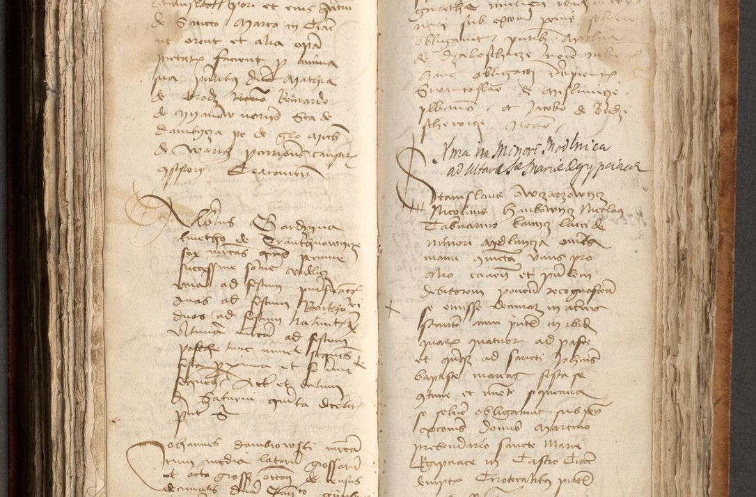 Zdjęcie nr 302 dla obiektu archiwalnego: [Acta obligationum officialia coram Johanne de Pniow]