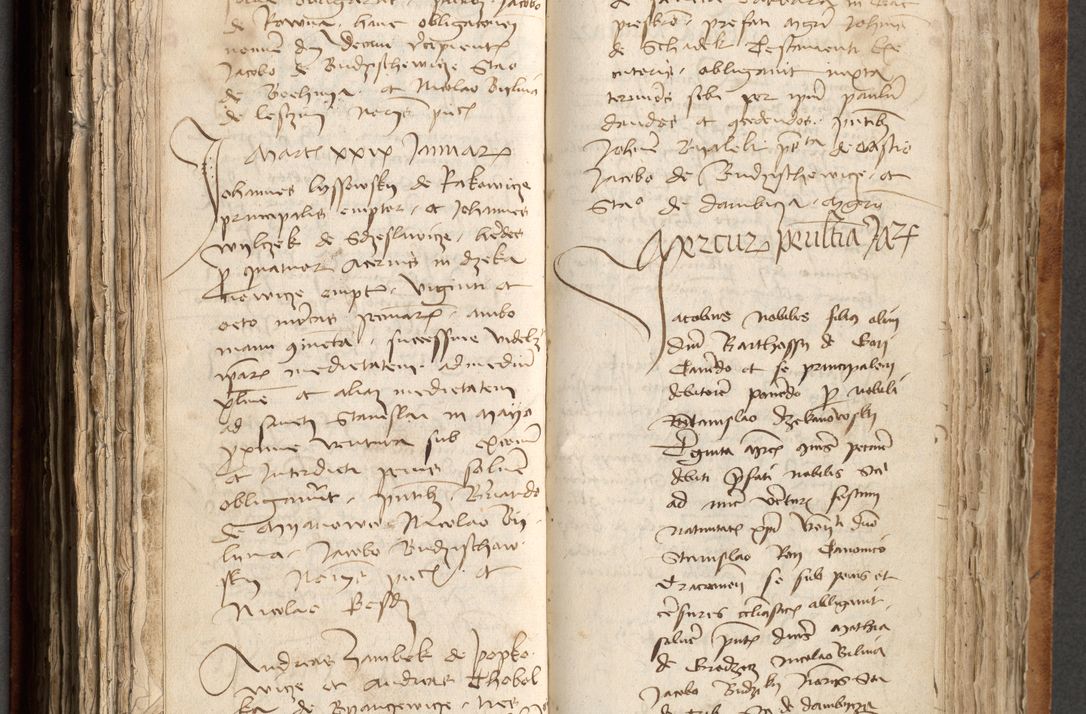 Zdjęcie nr 297 dla obiektu archiwalnego: [Acta obligationum officialia coram Johanne de Pniow]