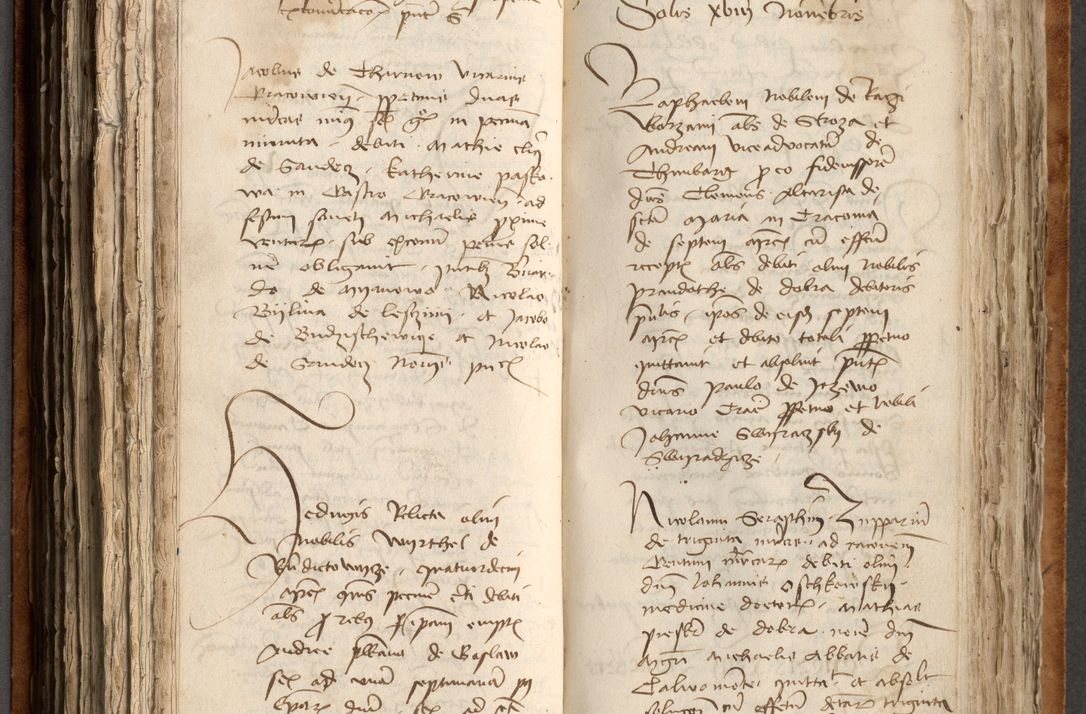 Zdjęcie nr 283 dla obiektu archiwalnego: [Acta obligationum officialia coram Johanne de Pniow]