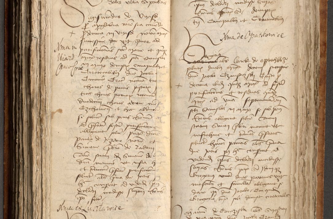 Zdjęcie nr 265 dla obiektu archiwalnego: [Acta obligationum officialia coram Johanne de Pniow]