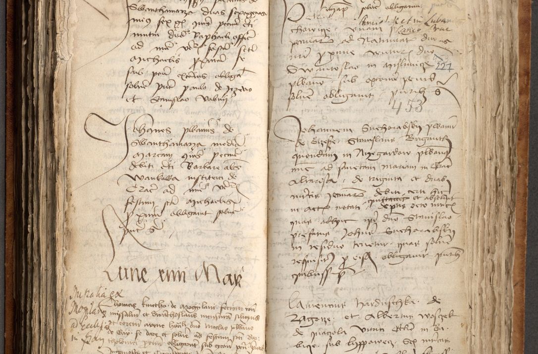 Zdjęcie nr 230 dla obiektu archiwalnego: [Acta obligationum officialia coram Johanne de Pniow]