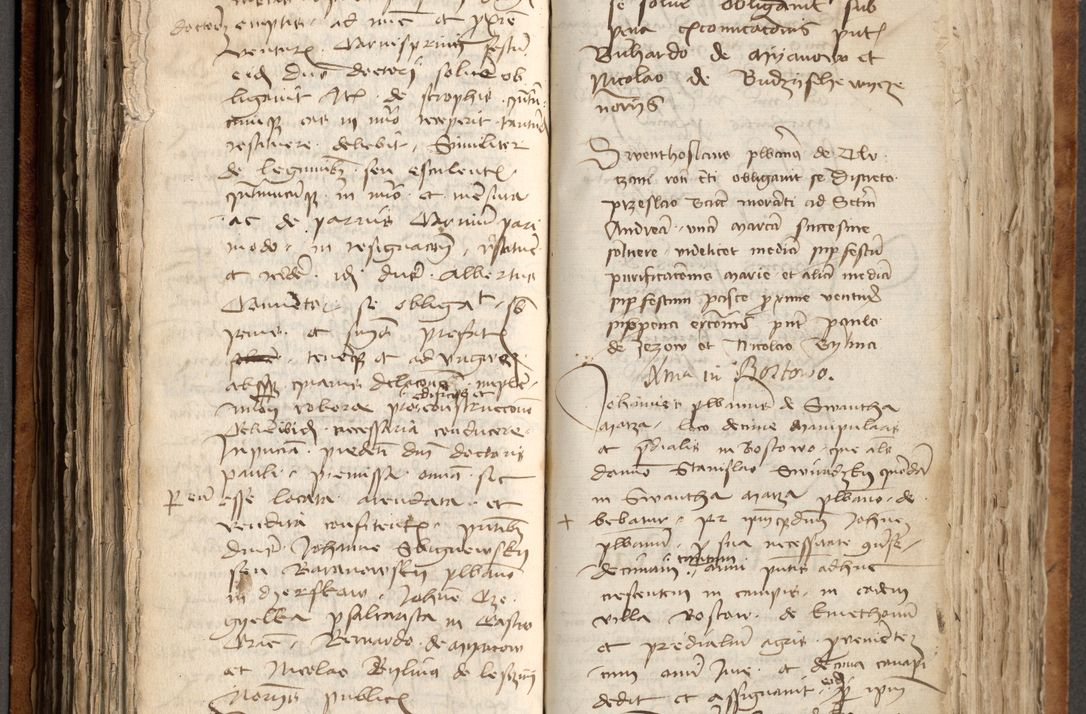 Zdjęcie nr 229 dla obiektu archiwalnego: [Acta obligationum officialia coram Johanne de Pniow]