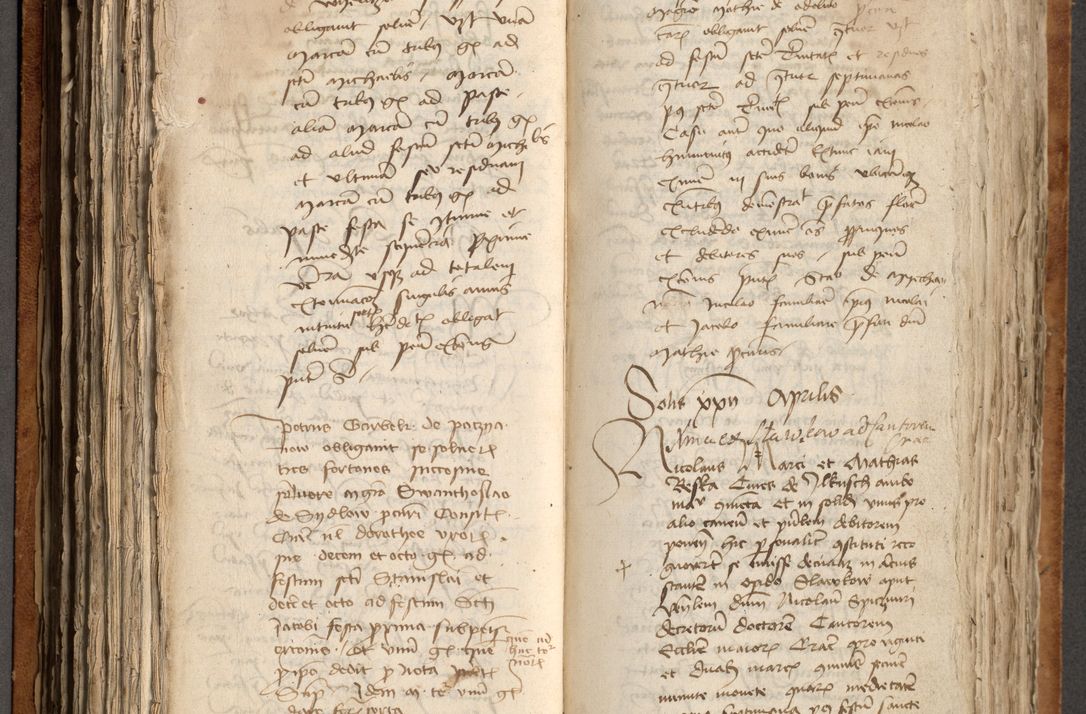 Zdjęcie nr 223 dla obiektu archiwalnego: [Acta obligationum officialia coram Johanne de Pniow]