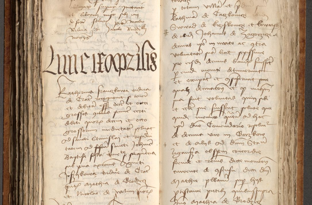 Zdjęcie nr 220 dla obiektu archiwalnego: [Acta obligationum officialia coram Johanne de Pniow]