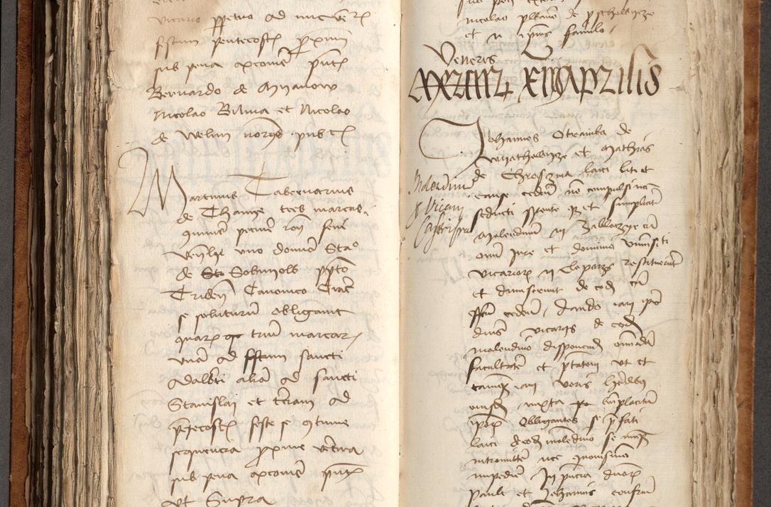 Zdjęcie nr 221 dla obiektu archiwalnego: [Acta obligationum officialia coram Johanne de Pniow]